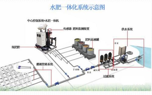 無土栽培與環控水肥一體化系統 建筑節能設備研發入門指南