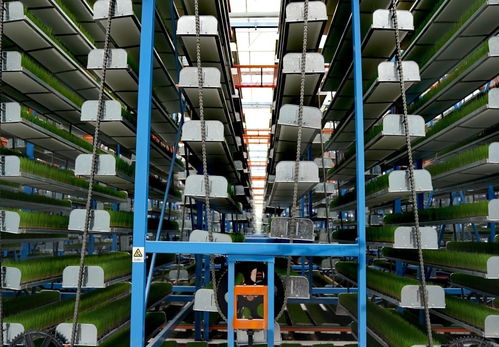 空中育秧 把水田搬進廠房，安徽建筑節能系統助推農業高質量發展